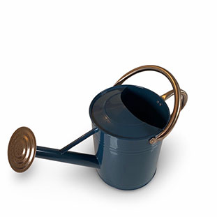 WATERING CAN STREAM BLUE
