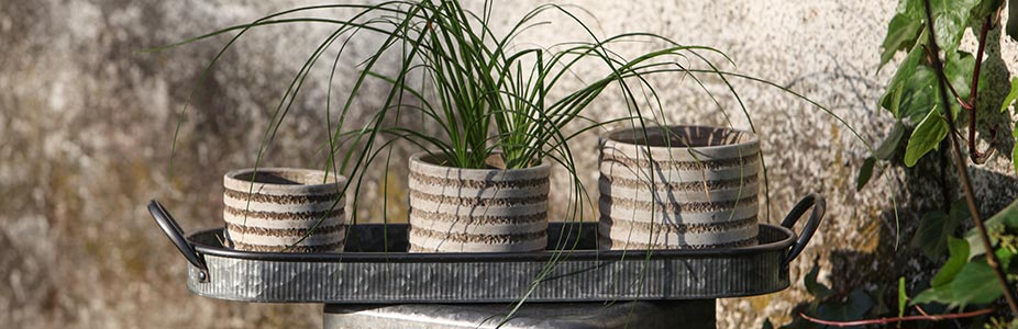 pots krukor trädgård inspo ss18