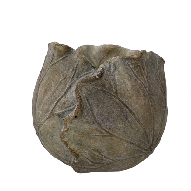 POT BRASSICA MEDIUM i gruppen Vår/Sommar 22 hos Miljögården (260801)