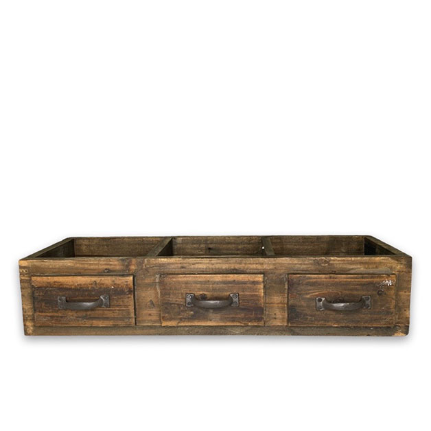 PLANTER WALDIE TREE i gruppen Sommar  / VÅR/SOMMAR 25 hos Miljögården (273850-3)