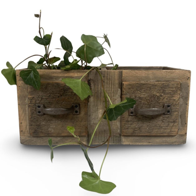PLANTER WALD DOUBLE i gruppen Säsong / PÅSK / Påskkrukor hos Miljögården (479950)