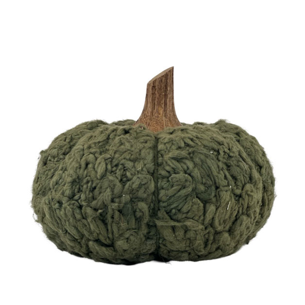 DECORATION PUMPKIN CUCURBITA M i gruppen Säsong / HÖST / Pumpor hos Miljögården (709460)