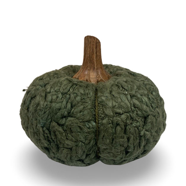 DECORATION PUMPKIN CUCURBITA M i gruppen Säsong / HÖST / Pumpor hos Miljögården (709460)