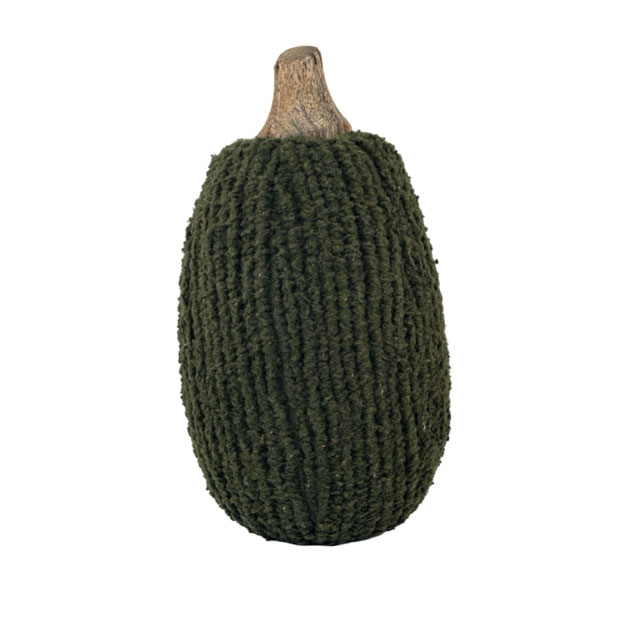 DECORATION PUMPKIN KABOCHA i gruppen Säsong / HÖST / Pumpor hos Miljögården (723660)