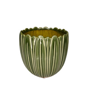 POT BENJA GREEN S