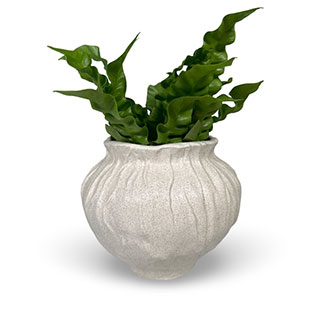 VASE ALEA M