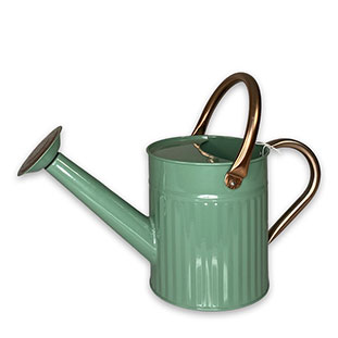 WATERING CAN SOAK SAGE