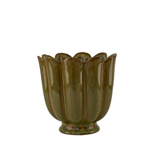 POT PETULIA MOSS S