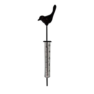 RAIN GAUGE BIRD
