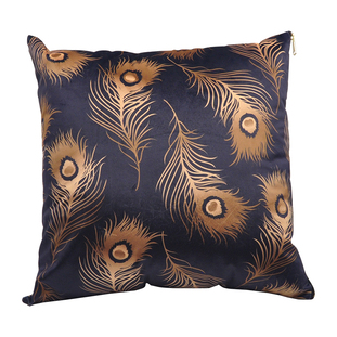 CUSHION COVER FEATHERS 45X45