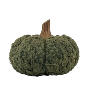 DECORATION PUMPKIN CUCURBITA M