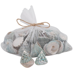 DECORATION SHELLS 8