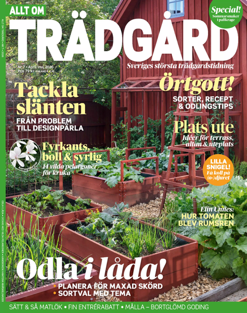 Allt om trädgård