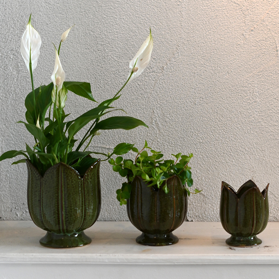 POT TULIPA MOSS SMALL