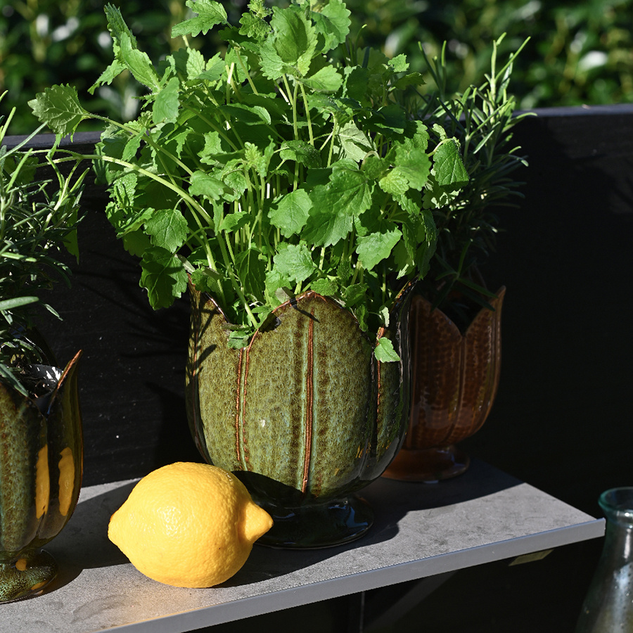 POT TULIPA MOSS LARGE