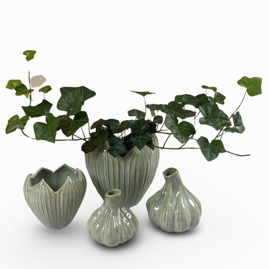 POT CORDATE MINT SMALL