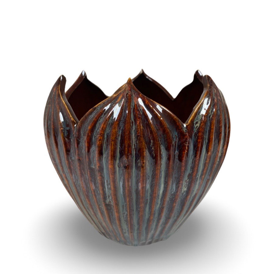 POT CORDATE PLUM MEDIUM