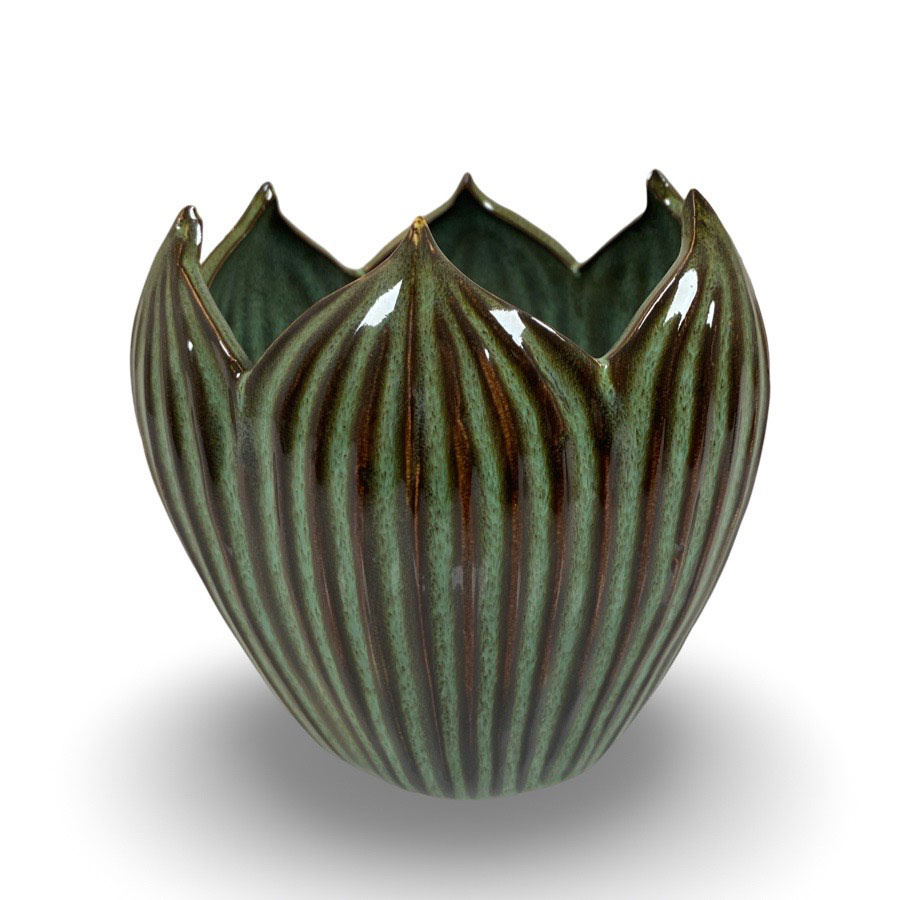 POT CORDATE MOSS MEDIUM