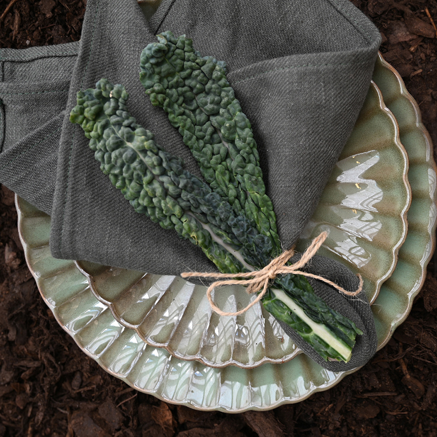 DINNER PLATE JOY GRASS