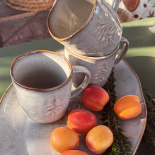 MUG SYLVA MUG SYLVA