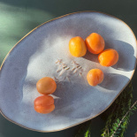 OVAL PLATE SYLVA OVAL PLATE SYLVA