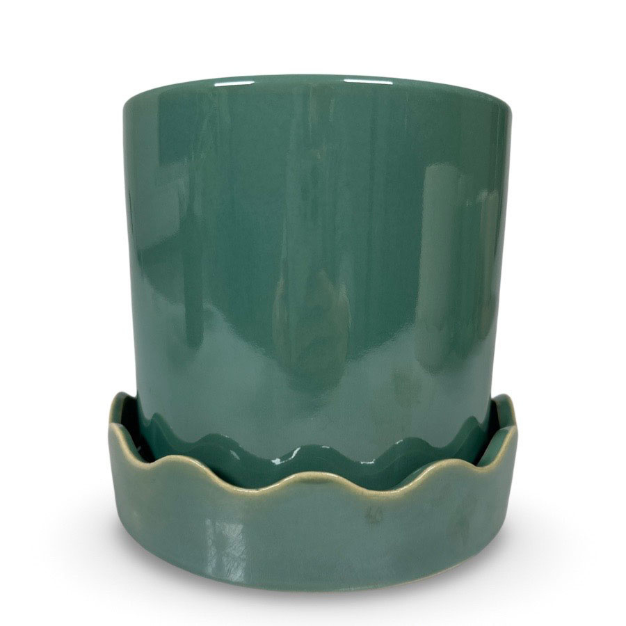 POT EBB EUCALYPTYS M