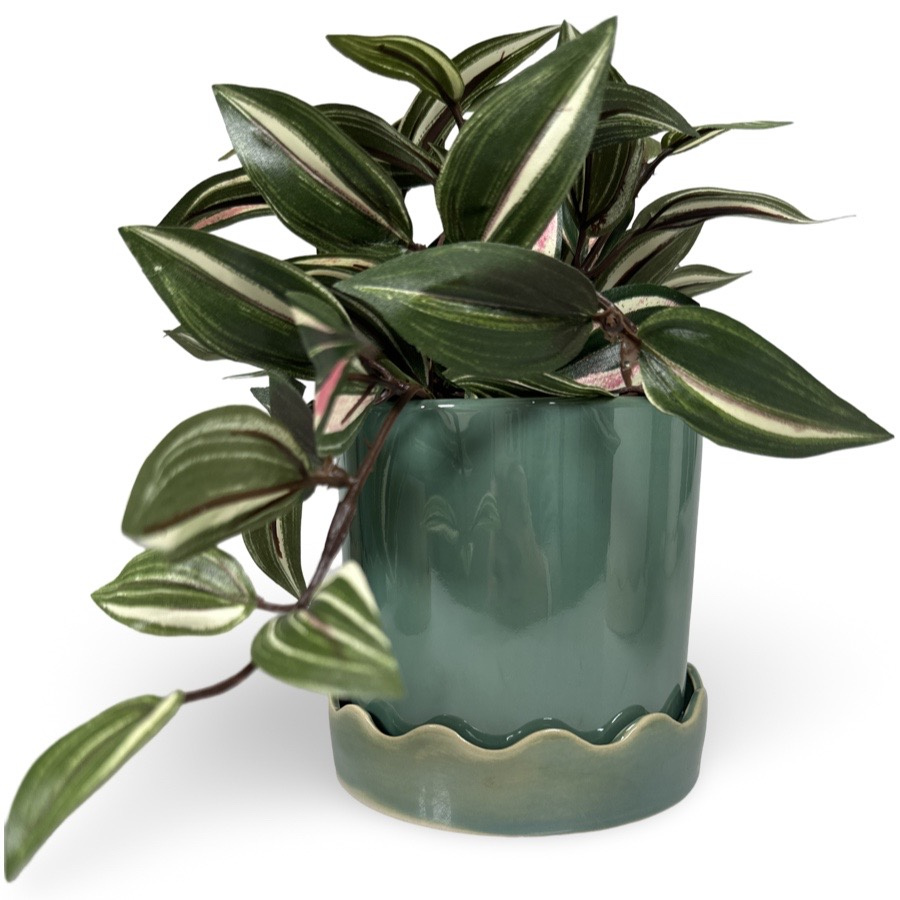 POT EBB EUCALYPTUS S