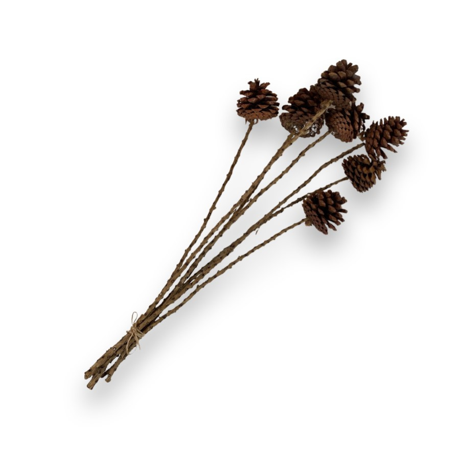 NATURE PINE CONE ON STEM SMALL