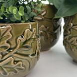 POT OAKSPIRE M POT OAKSPIRE M