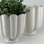 POT PETULIA WHITE L POT PETULIA WHITE L