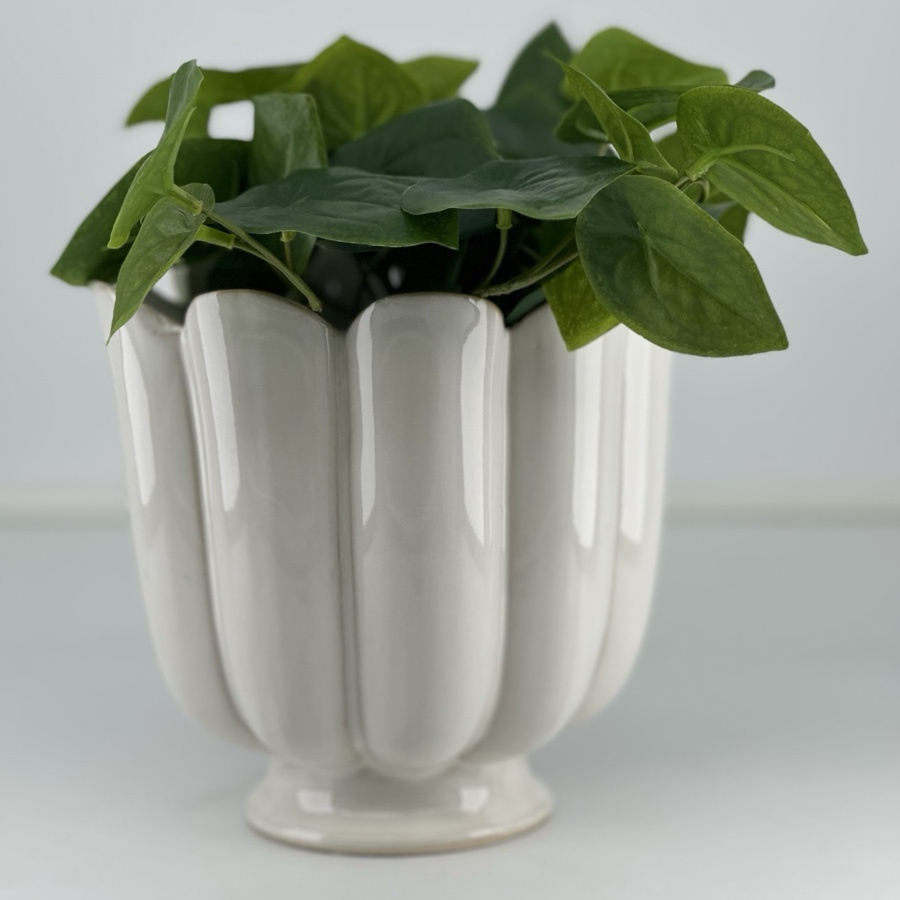 POT PETULIA WHITE M
