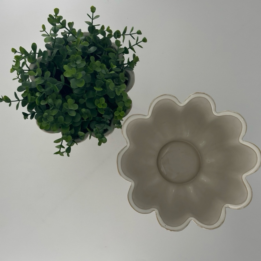 POT PETULIA WHITE M