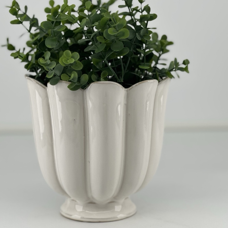 POT PETULIA WHITE S