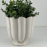 POT PETULIA WHITE S POT PETULIA WHITE S