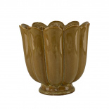 POT PETULIA OCRA M POT PETULIA OCRA M