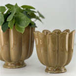 POT PETULIA OCRA S POT PETULIA OCRA S