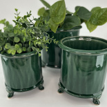 POT TIPS GREEN S POT TIPS GREEN S