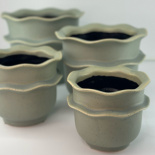 POT WAVERLY S POT WAVERLY S