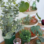 DISPLAY TRAY HATTIE 3 shelfs DISPLAY TRAY HATTIE 3 shelfs