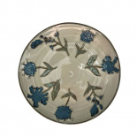 PLATE ASTER PLATE ASTER