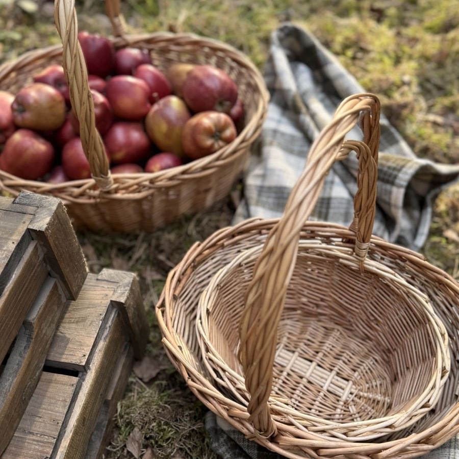 BASKET WILLOW PICNIC 4SET