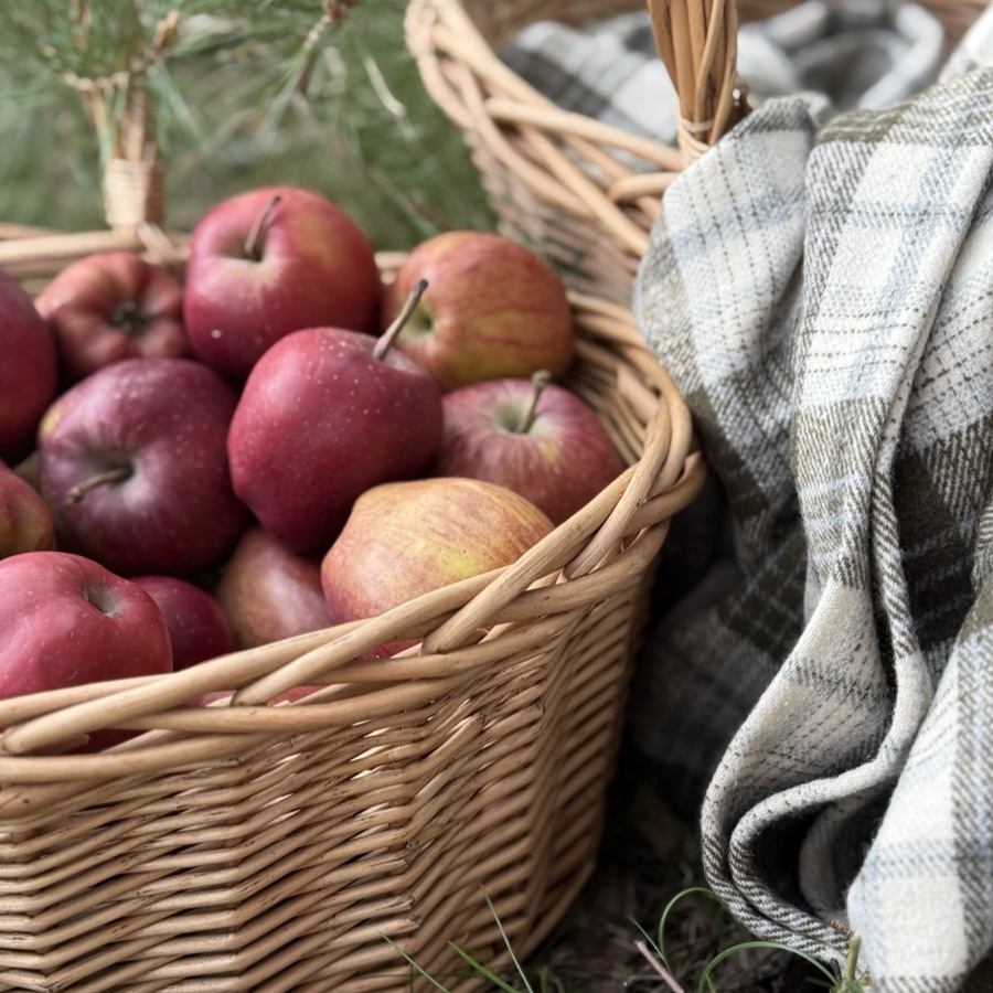 BASKET WILLOW PICNIC 4SET