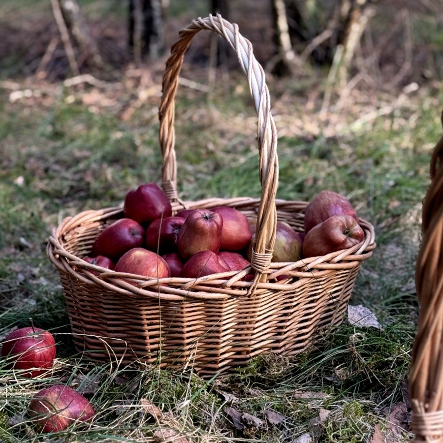 BASKET WILLOW PICNIC 4SET
