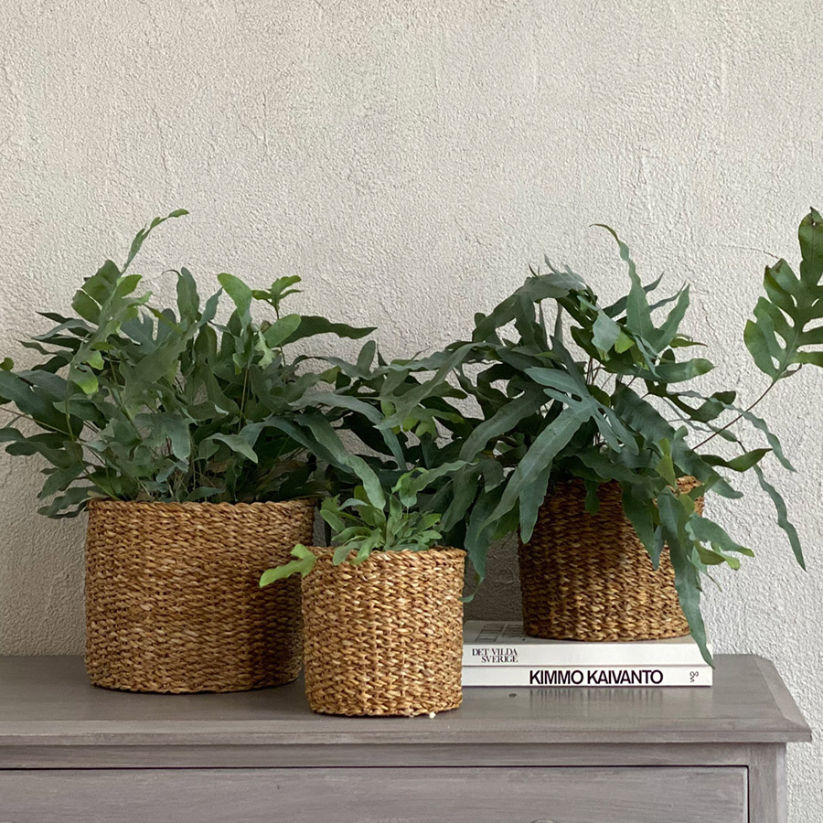 ROUND MINI CYLINDER 3/SET