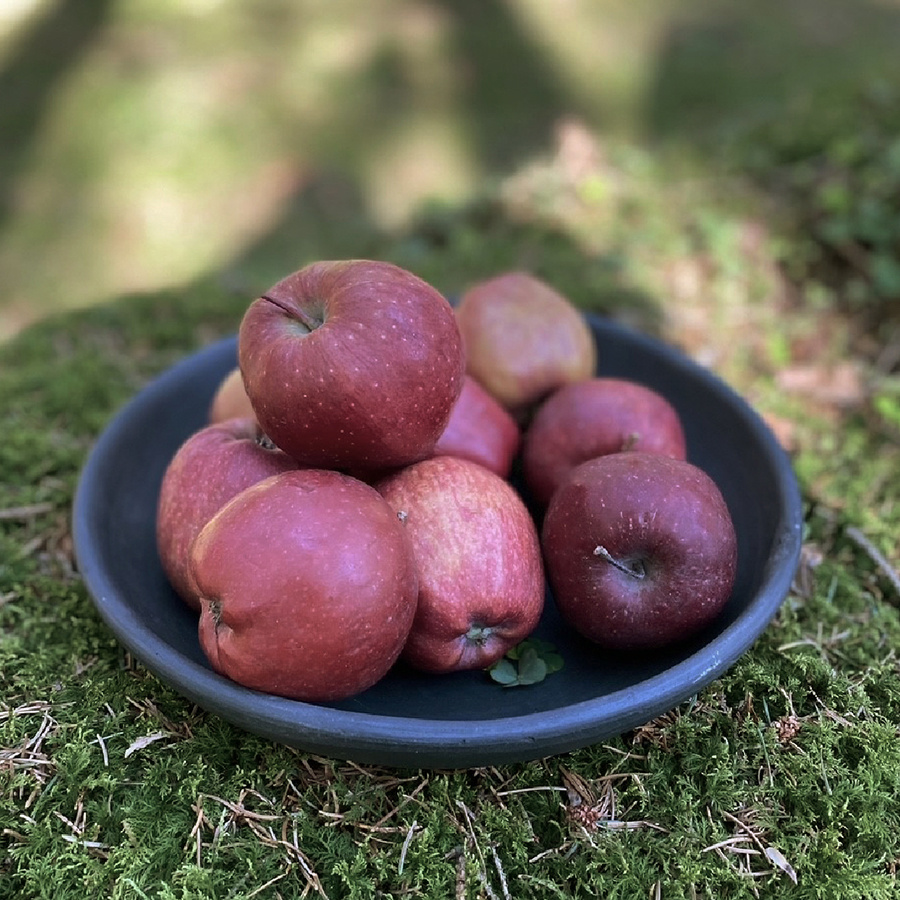 TERRACOTTA BLACK BOWL STRENUA 2set