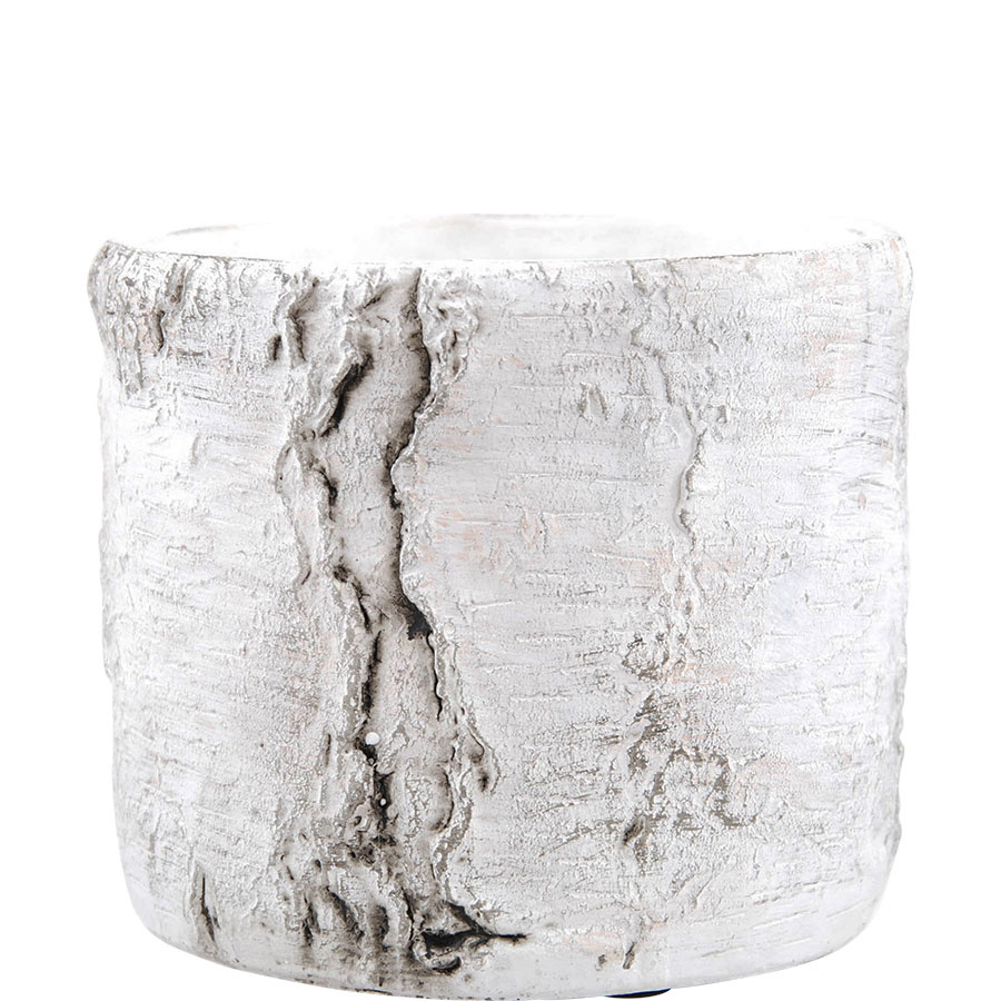 POT BIRCH LARGE