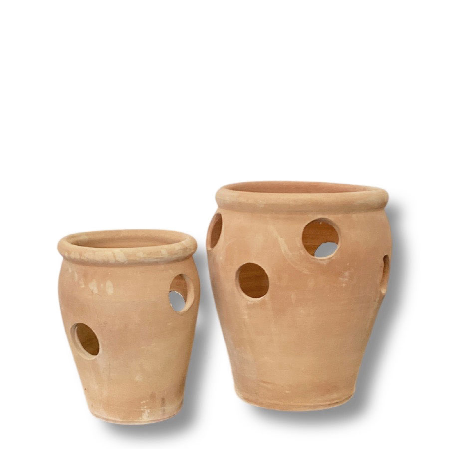 TERRACOTTA HERB 2set