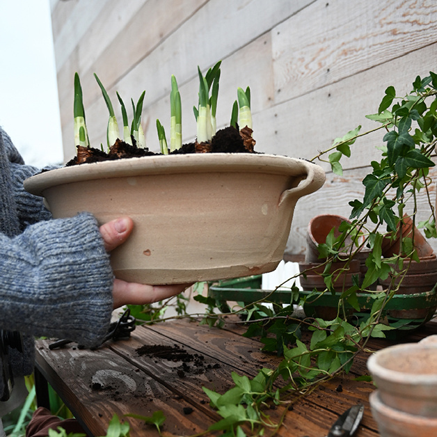 TERRACOTTA TRAY 2set