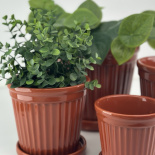 POT TERRA STRIPE GLAZE BURNT SIENNA MEDIUM POT TERRA STRIPE GLAZE BURNT SIENNA MEDIUM