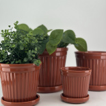 POT TERRA STRIPE GLAZE BURNT SIENNA XLARGE POT TERRA STRIPE GLAZE BURNT SIENNA XLARGE